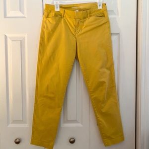 Mustard pixie dress pants